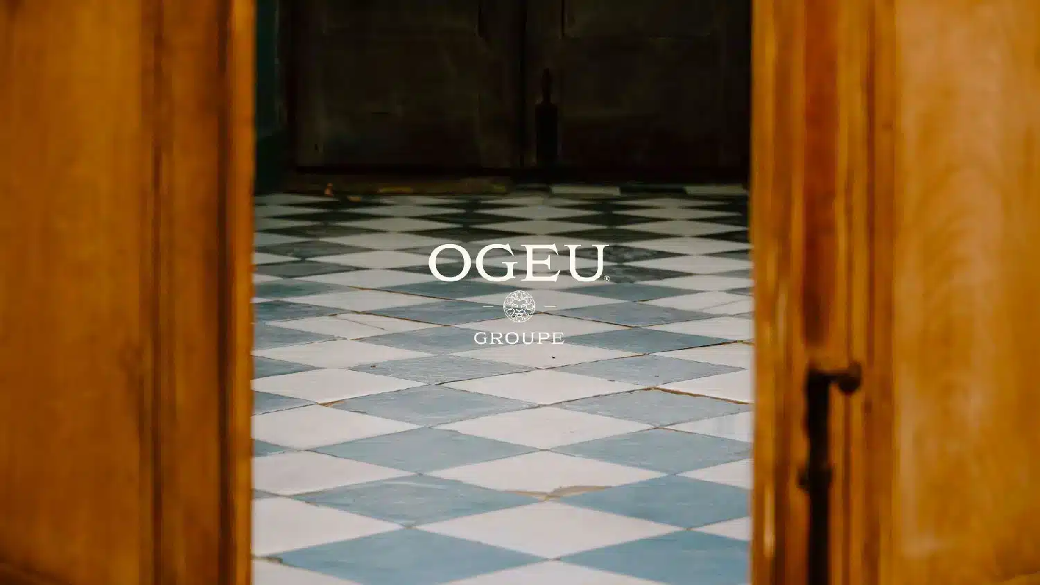 Site institutionnel Ogeu Groupe